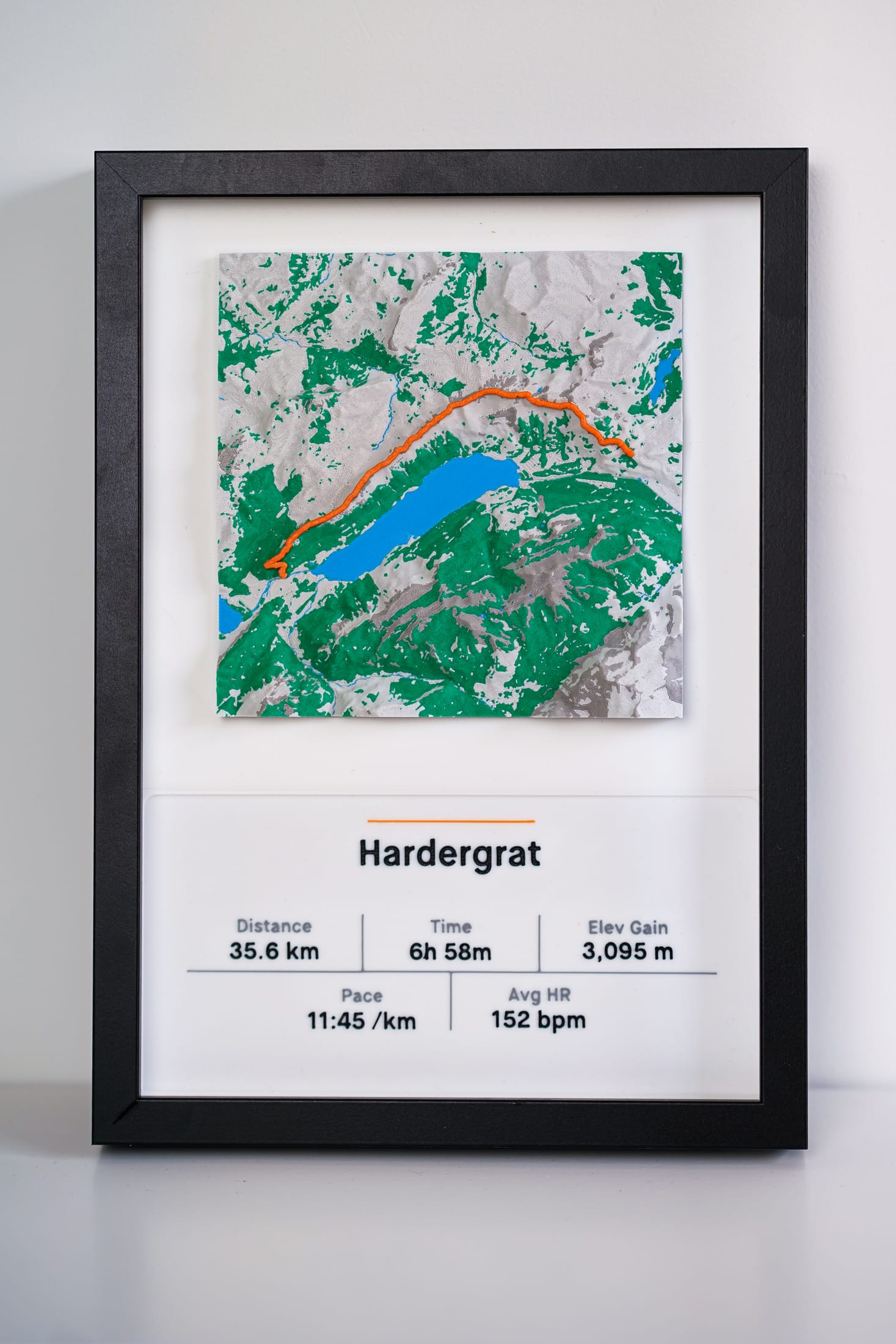 Straight-on photograph of the framed Hardergrat terrain piece with the plaque clearly visible.