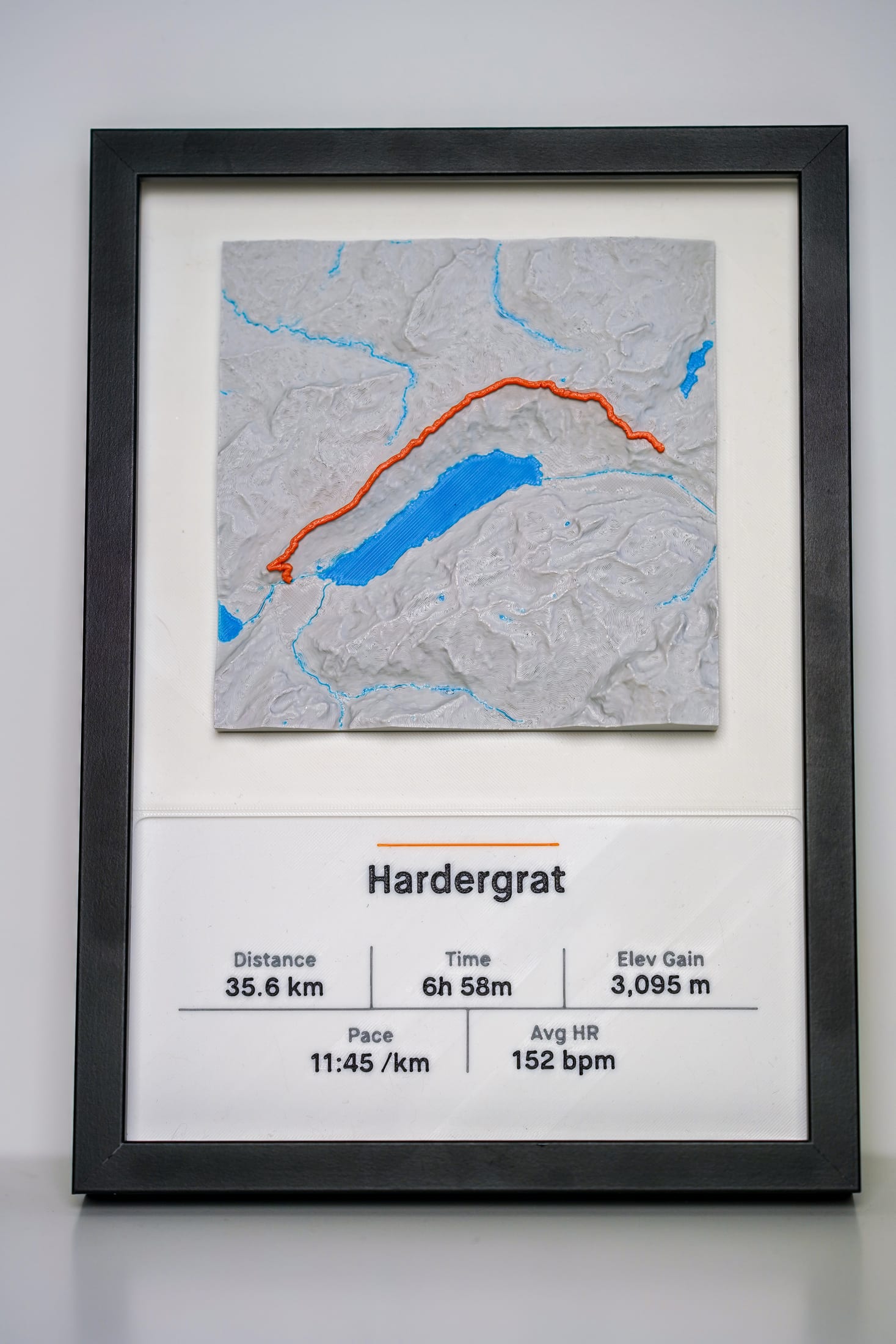 Straight-on photograph of the framed Hardergrat quiet relief version with pale terrain and blue water.